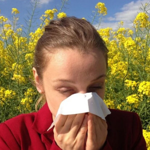 Сезон слез и чихания. На что у владимирцев аллергия и как справиться с недугом