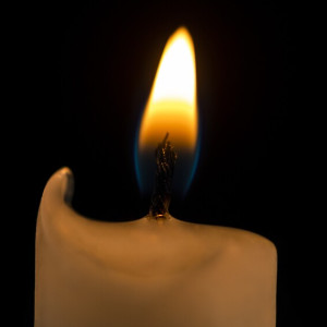 В Камешковском районе простились с погибшим в зоне СВО бойцом