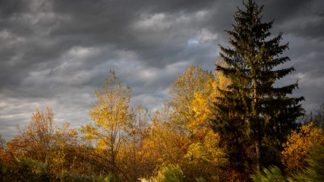 Прогноз погоды во Владимирской области на 12 октября