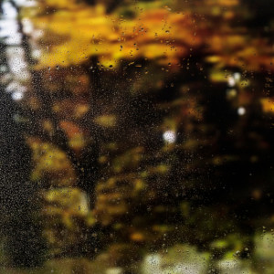 Прогноз погоды во Владимирской области на 13 ноября