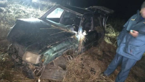 Водитель улетевшей в кювет иномарки в Камешковском районе умер в больнице