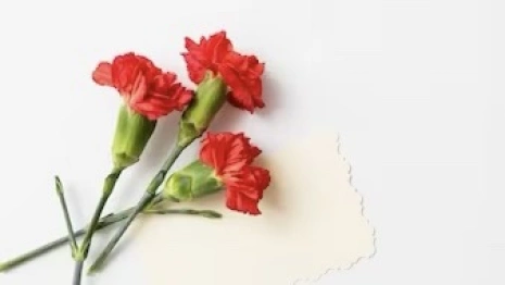 На кладбище у Владимирского централа возложили цветы в честь Неизвестного солдата