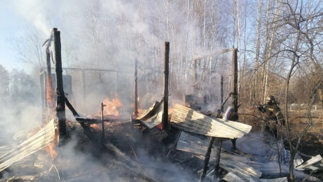 При пожаре в деревне под Петушками пострадал человек