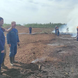 Во Владимирской области ввели тотальный запрет на посещение лесов