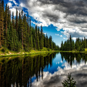 Во Владимирской области запланировали расчистить 11 рек