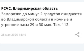 МЧС предупредило владимирцев о заморозках до -2 градусов