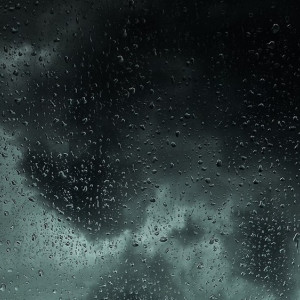 Автомобилистов предупредили о ночном дожде на платнике М-12 во Владимирской области