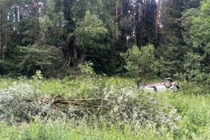 В Александровском районе водитель погиб после столкновения с деревом