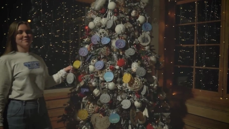 Во Владимирской области запустили «Елку желаний» для больных детей и сирот