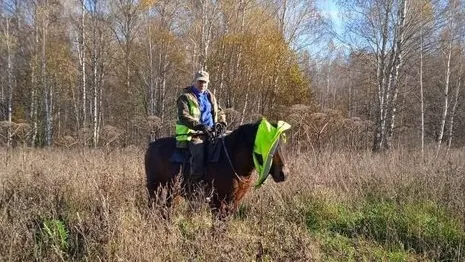 В лесу под Гороховцом встретили охотника на коне