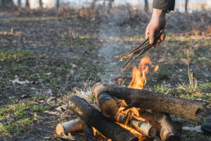 Жителей Владимирской области оштрафовали на 1,2 млн рублей за разведение костров