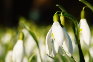 Перерасчет коммуналки и ПДД для самокатов. Что изменится в жизни владимирцев в марте