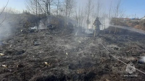 Во Владимирской области сгорели 20 га сухой травы