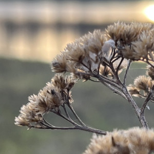 Во Владимирской области похолодает до +9 градусов