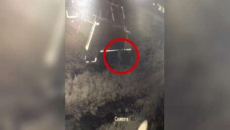 В Коврове полицейские начали проверку после инцидента с сахаром и мусоровозами