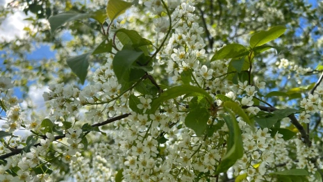 Жителям Владимирской области пообещали солнечную погоду и +22 градуса