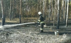 Тушение пожара в Загородном парке Владимира показали на видео