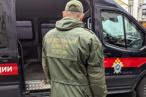 В Ставрово ставший героем ролика мужчина изрезал и избил подругу