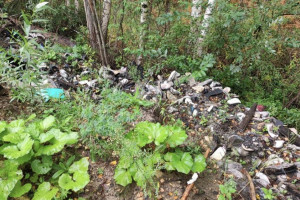 В Судогде обнаружили две стихийные свалки