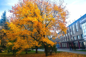 Владимирский госуниверситет вошел в рейтинг лучших вузов стран БРИКС