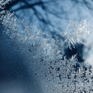 Агей Инесей: что можно и нельзя делать 29 декабря