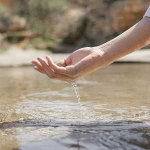 Вадим Ключник: что можно и нельзя делать 22 апреля