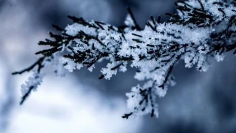 Прогноз погоды во Владимире и области на 17 февраля