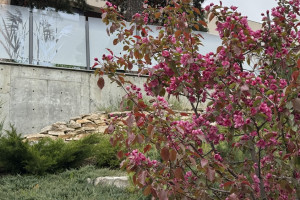 Прогноз погоды во Владимирской области на 21 мая 2025 года