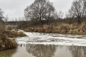 Бастрыкин взял на контроль историю с загрязнением реки Пекша в Петушинском районе