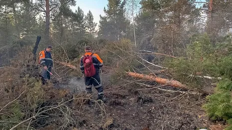 Спасатели рассказали об обстановке в горящем лесу под Камешково