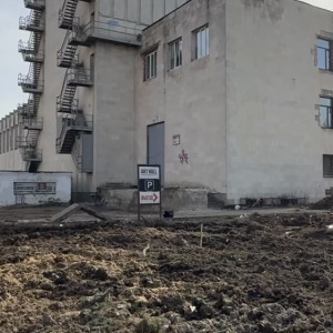 Владимирцы возмутились спиленной елью у Art Hall