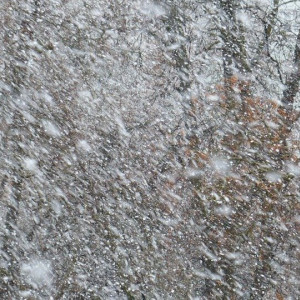 Во Владимирской области из-за шквалистого ветра энергетики отработали в экстренном режиме