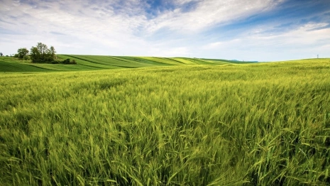 Владимирские участки экстремистов-олигархов из Украины отошли России