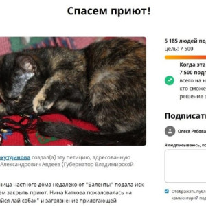 Петицию в защиту владимирского приюта «Валента» подписали больше 5 тыс. человек