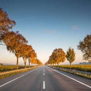 Владимирская область потратит более 500 млн рублей на строительство дорог до Доброграда