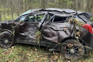 В ДТП на дорогах Владимирской области погиб 1 и пострадали 46 человек