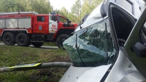 В Киржачском районе легковушка врезалась в столб
