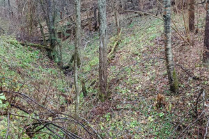 Прогноз погоды во Владимирской области на 18 ноября 2024 года