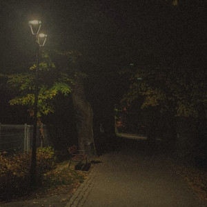 В Юрьев-Польском сквер у памятника Долгорукому утонул в темноте