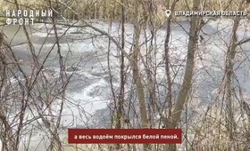 История со сбросом отходов в водоем во Владимире дошла до Бастрыкина