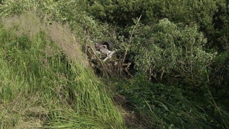 Иномарка улетела в кювет и перевернулась в Киржачском районе: пассажир погиб