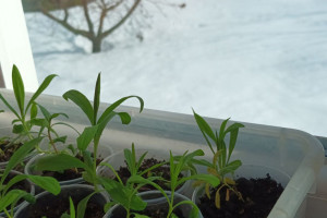 Прогноз погоды на 18 марта 2024 года во Владимире и области