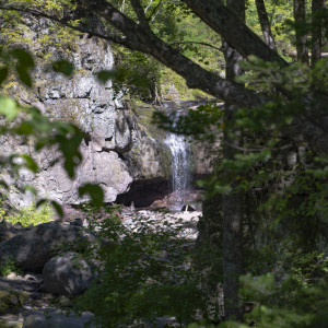 В нацпарке «Земля леопарда» открыта новая экотропа