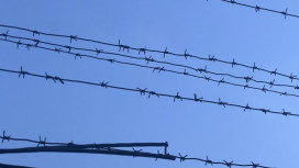 В Собинке двое мужчин вымогали у директора магазина 5,2 млн рублей