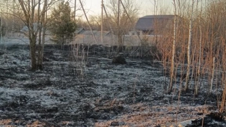 За сутки во Владимирской области сухая трава загорелась в 31 месте