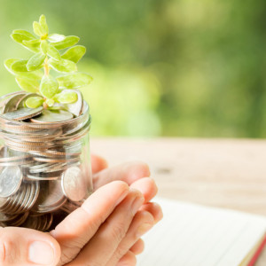 Владимирцы положили в банки 265 млрд рублей