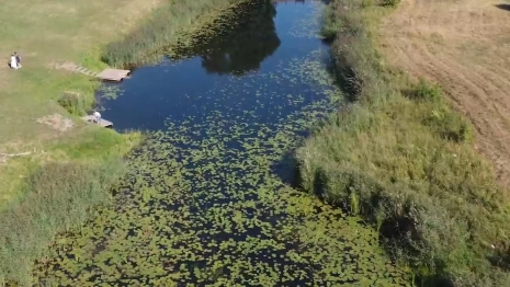 Жители Суздаля потребовали спасти Каменку и Нерль от экологической катастрофы