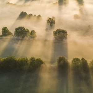 Утренние туманы опустятся на Владимирскую область в выходные