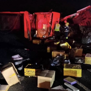 В Гороховецком районе перевернулась фура с кормом для кошек