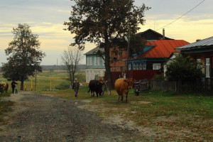 Жители Владимирской области собрали почти 26 млн рублей на благоустройство